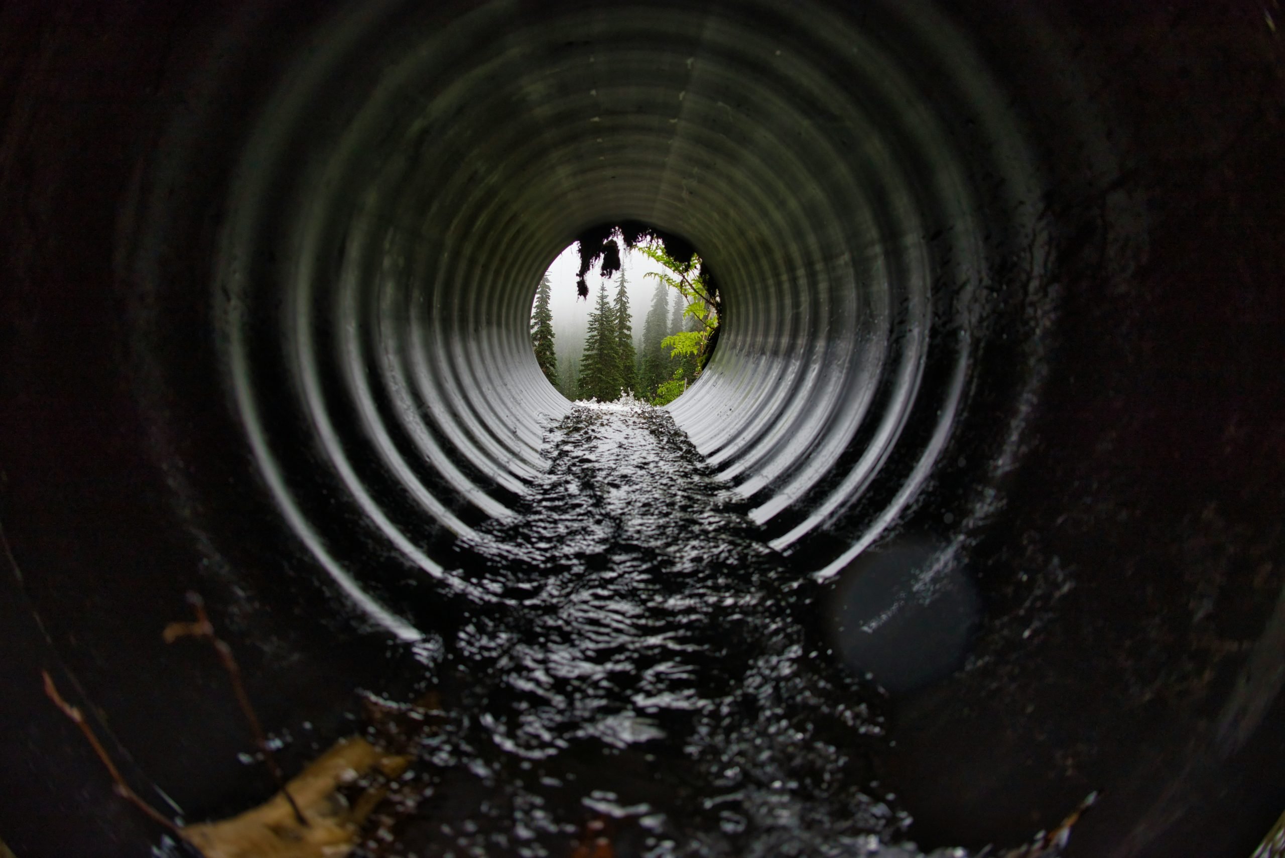 Understanding Your Home's Sewer System