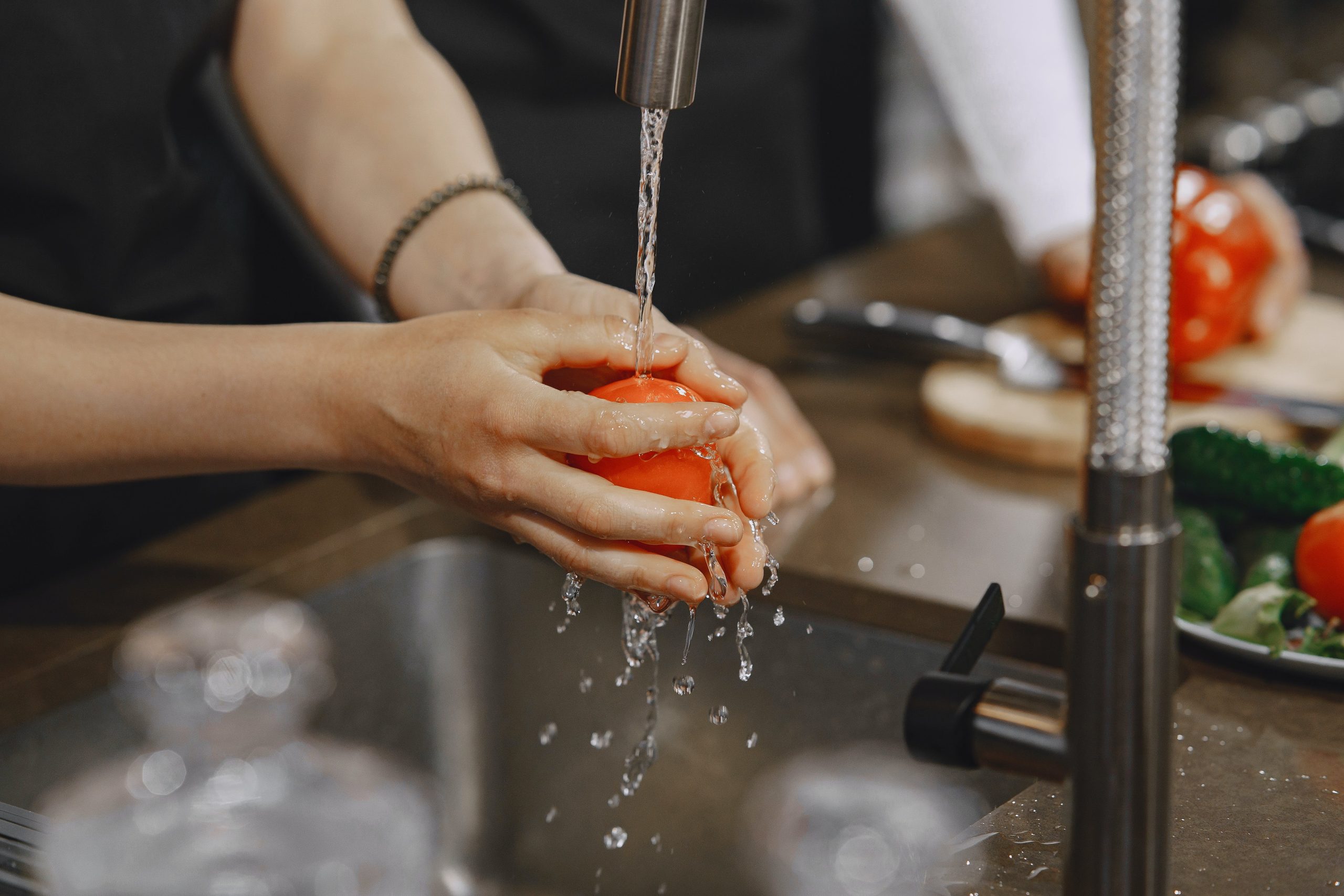 Understanding Garbage Disposal