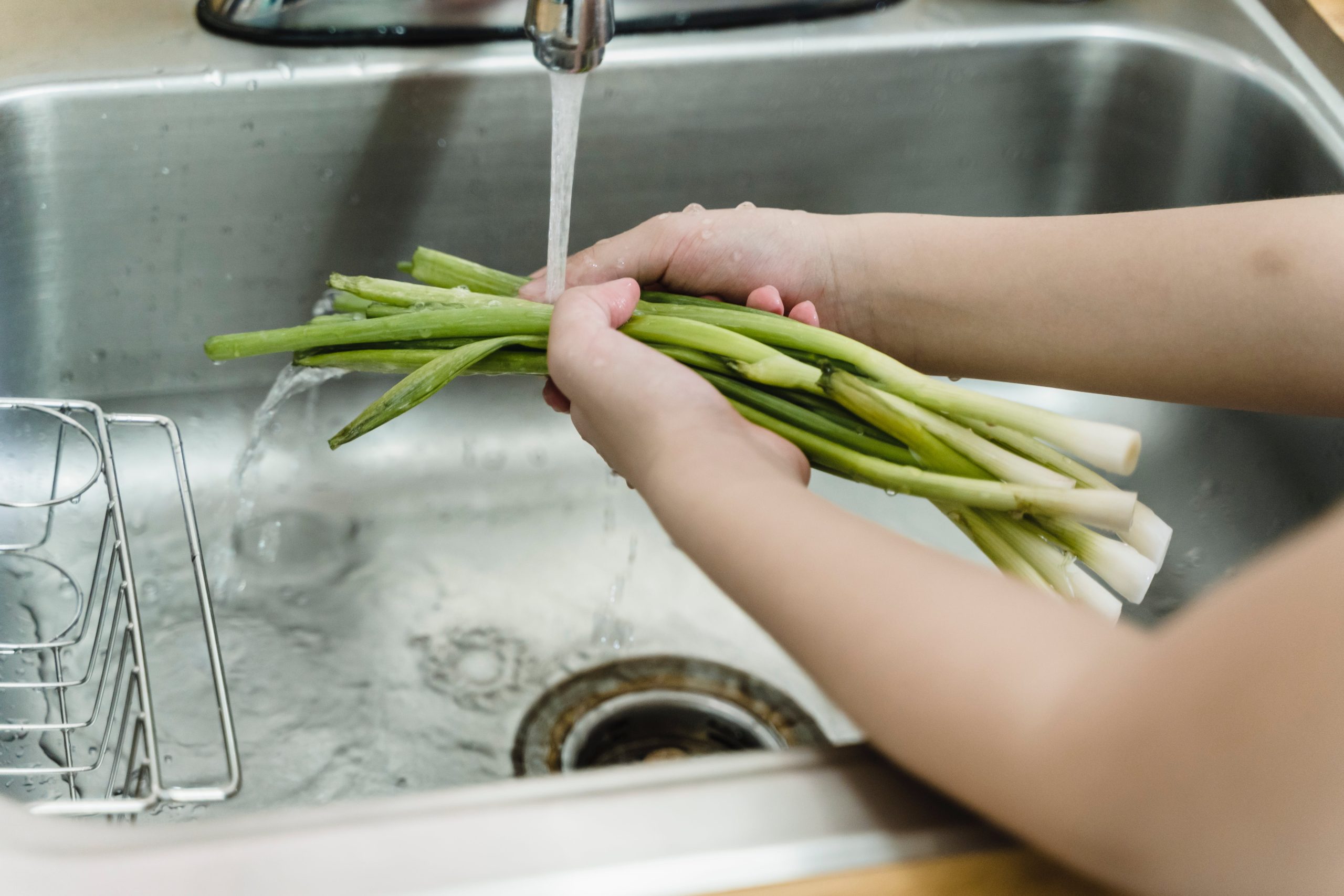 Understanding Garbage Disposal