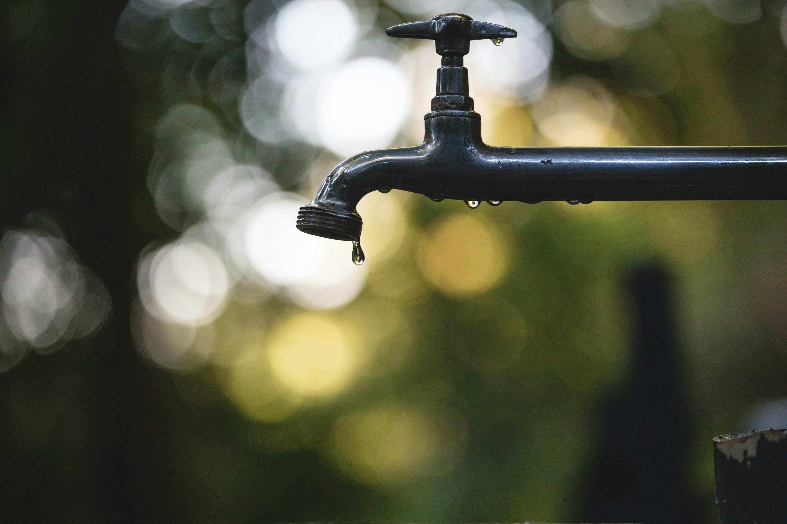 The Environmental Impact of Plumbing