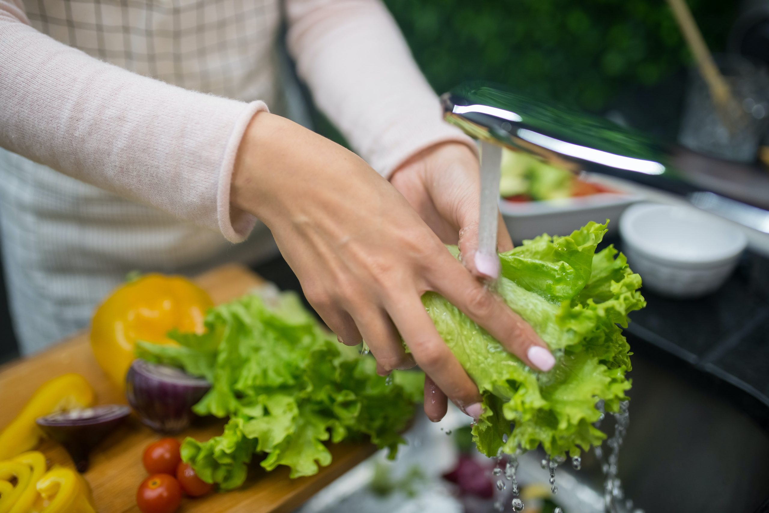 Garbage Disposal Maintenance